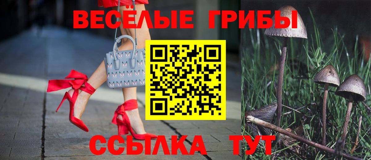Галлюциногенные грибы ЛСД  Галлюциногенные грибы Cubensis  Вход с VPN  Воронеж 